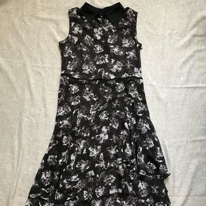 Simply Vera Vera Wang Black and White Sheer Collared Dress